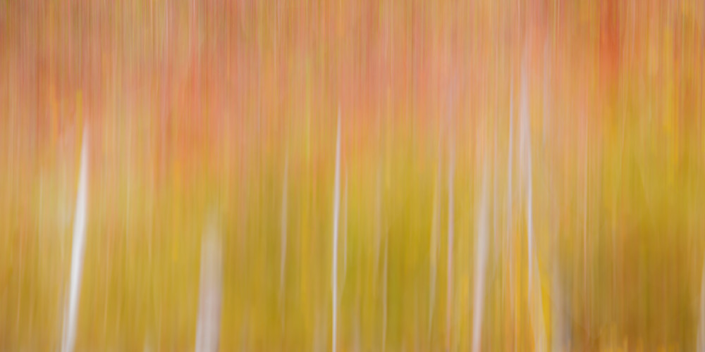 "Colors of Autumn" | Fine Art Photography by Dennis Caskey