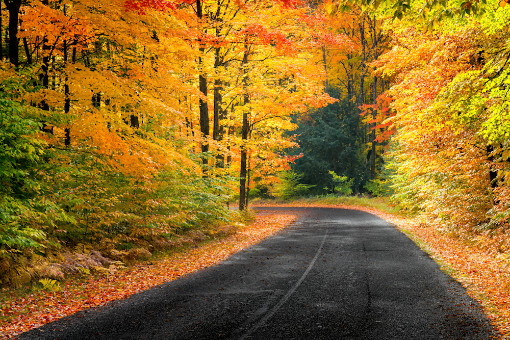 "Autumn's Road" | Fine Art Photography by Dennis Caskey