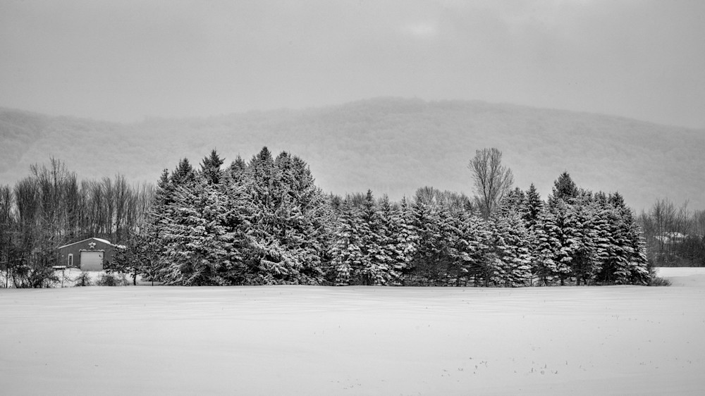 Winter At The Pines Photography Art | Francois De Melogue