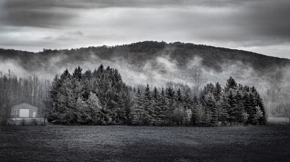 Misty Morning At The Pines Photography Art | Francois De Melogue