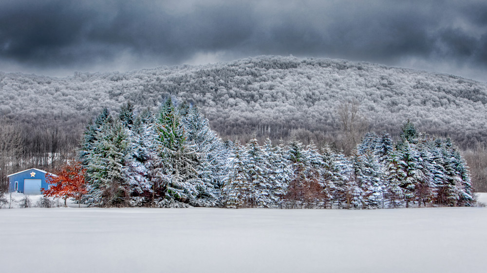 Snow At The Pines Photography Art | Francois De Melogue