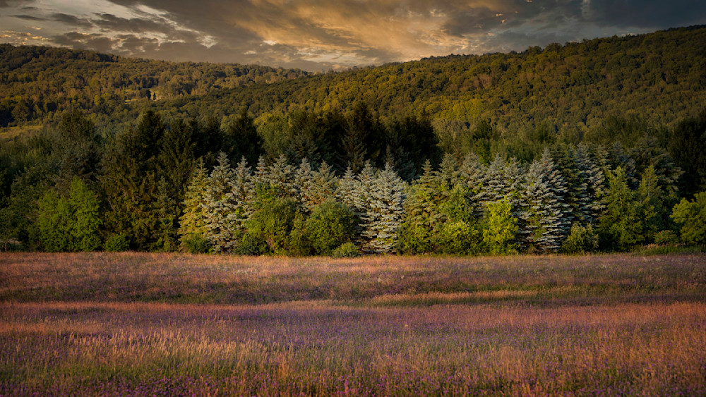 Sunset At The Pines Photography Art | Francois De Melogue