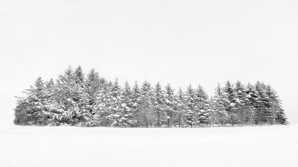 White Out At The Pines Photography Art | Francois De Melogue