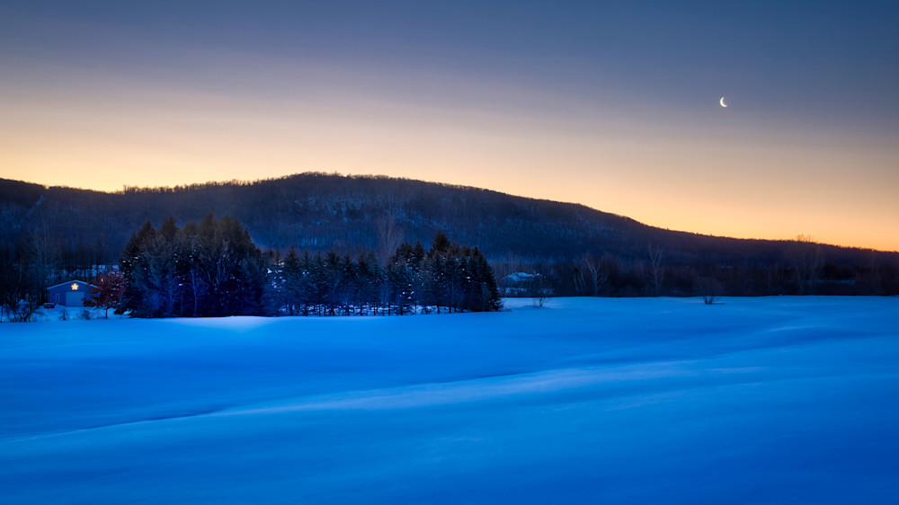 Morning Moon At The Pines Photography Art | Francois De Melogue