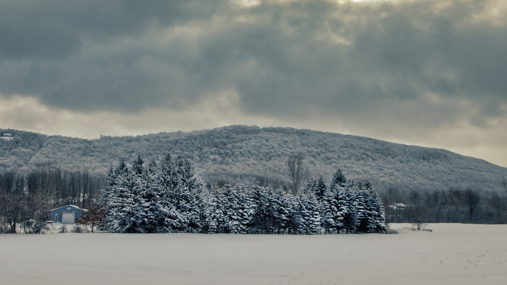 February 5th At The Pines Photography Art | Francois De Melogue