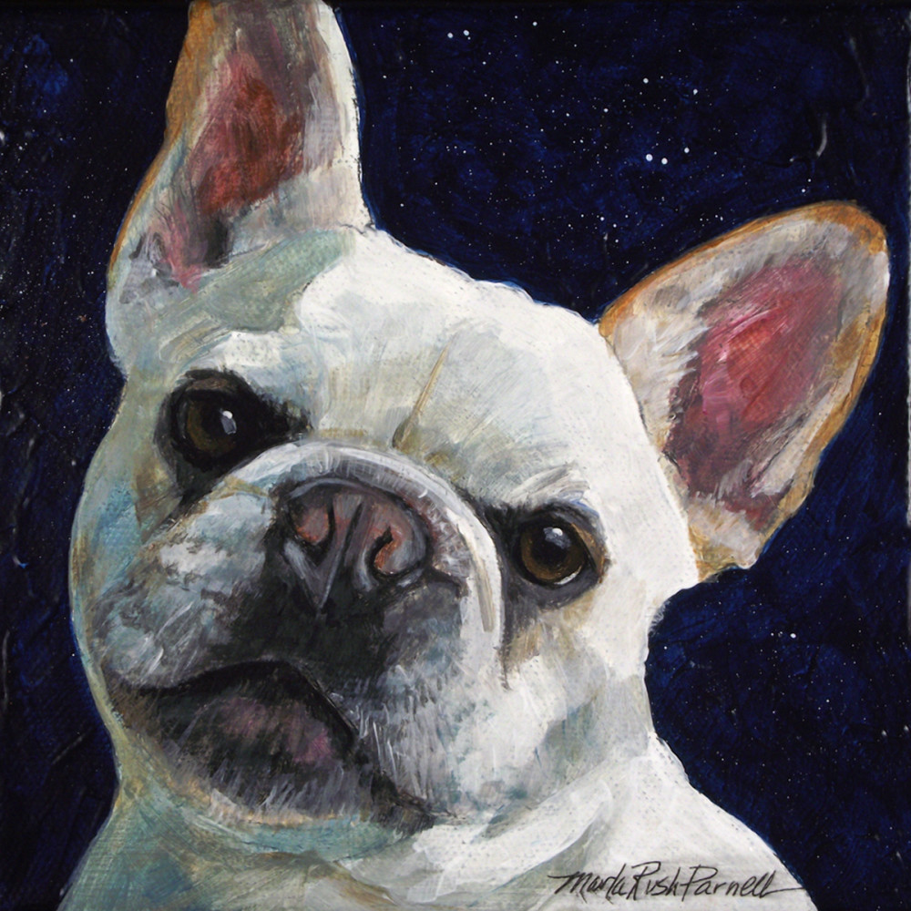 Lucy In The Sky With Diamonds Art | Parnell Studios