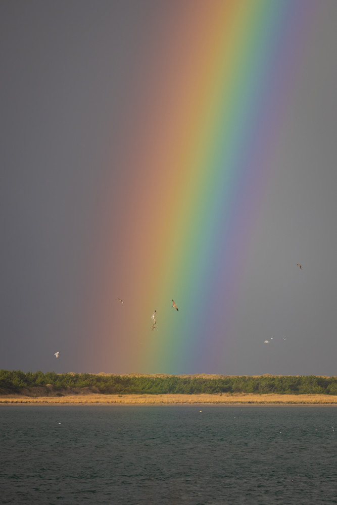 Netarts Bay Rainbow Photography Art | Nicole Peloquin Photography LLC