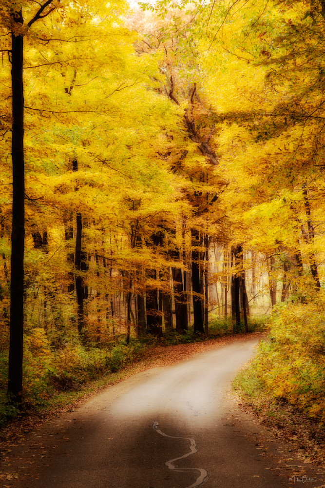 Signs Of Autumn   Around The Bend Photography Art | 3rdEye Photographic