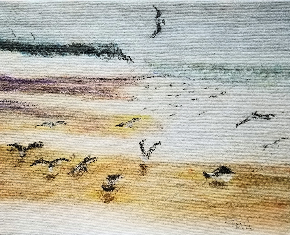 Grayton Beach Birds Art | Serene Scapes by Terri Westbrook