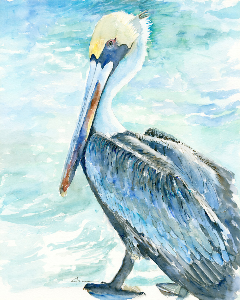Pelican Pose 7 Watercolor Print | Claudia Hafner Watercolor