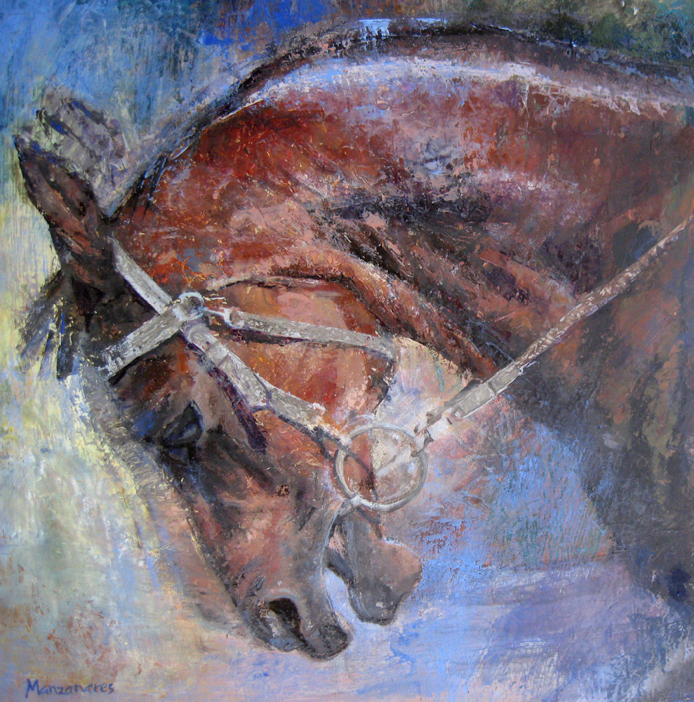 portrait of a horse fighting the bit original realist equine art oil painting by artist Kris Manzanares