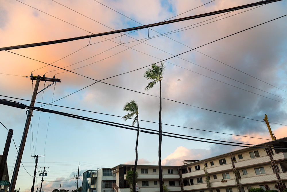 Moilili Mosaic: Power Lines And Palms Photography Art | Philipson Foundation