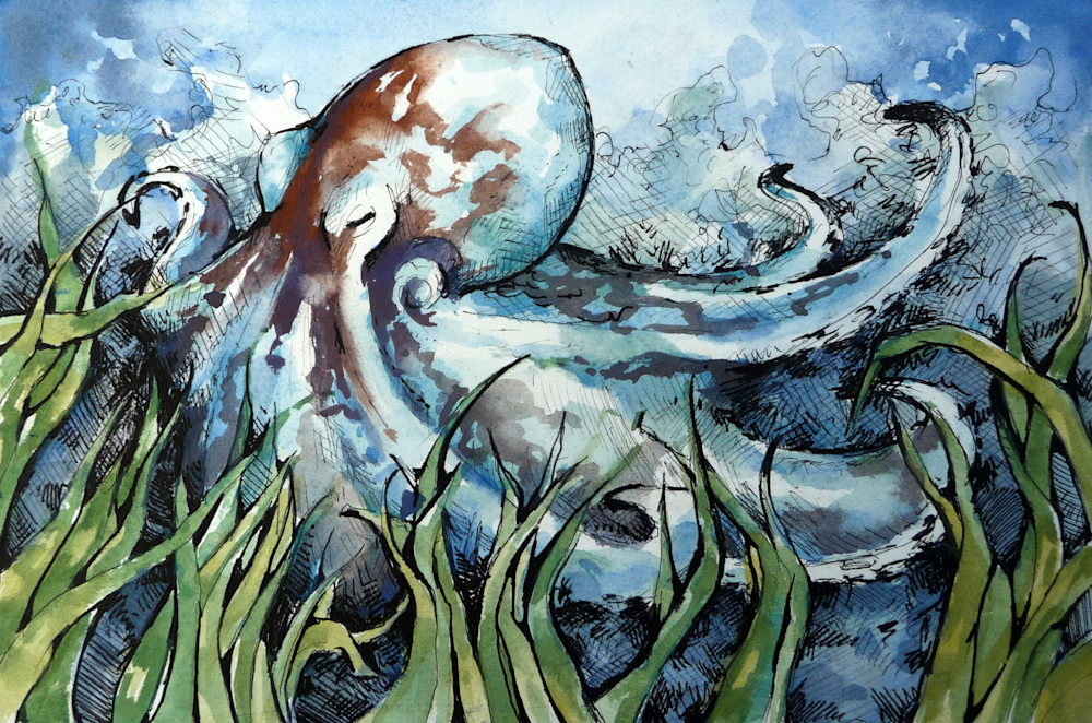 Caribbean Reef Octopus Art | Meghan Taylor Art
