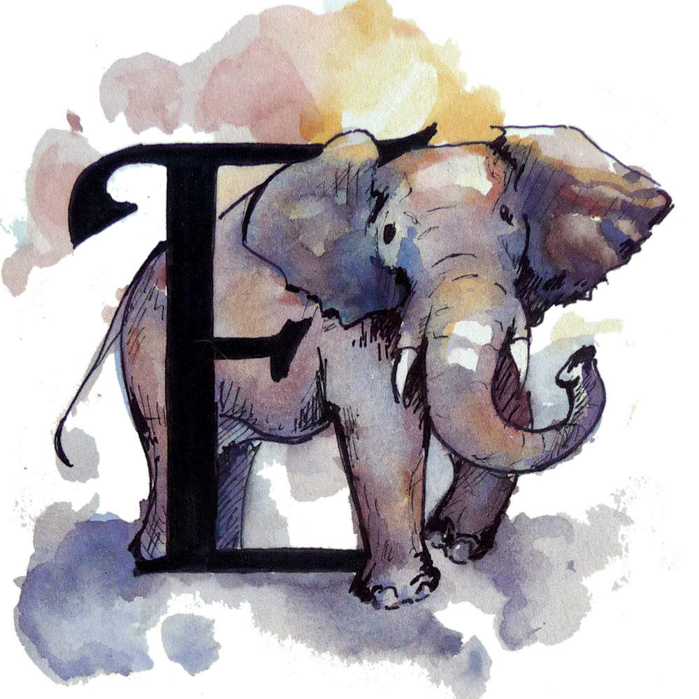 Elephant Art | Meghan Taylor Art