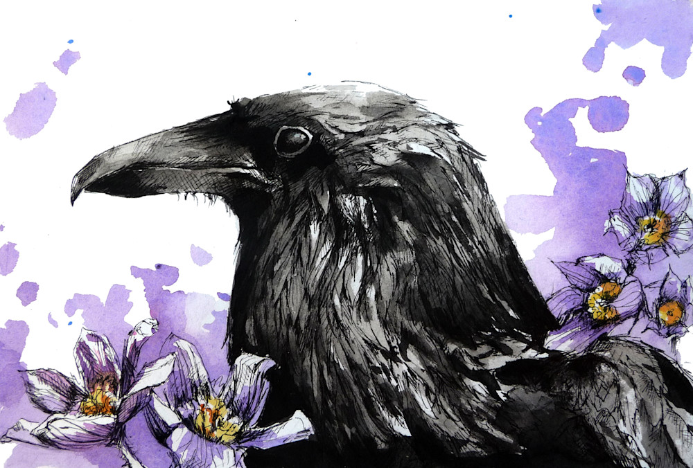 Raven And Pasqueflower Art | Meghan Taylor Art
