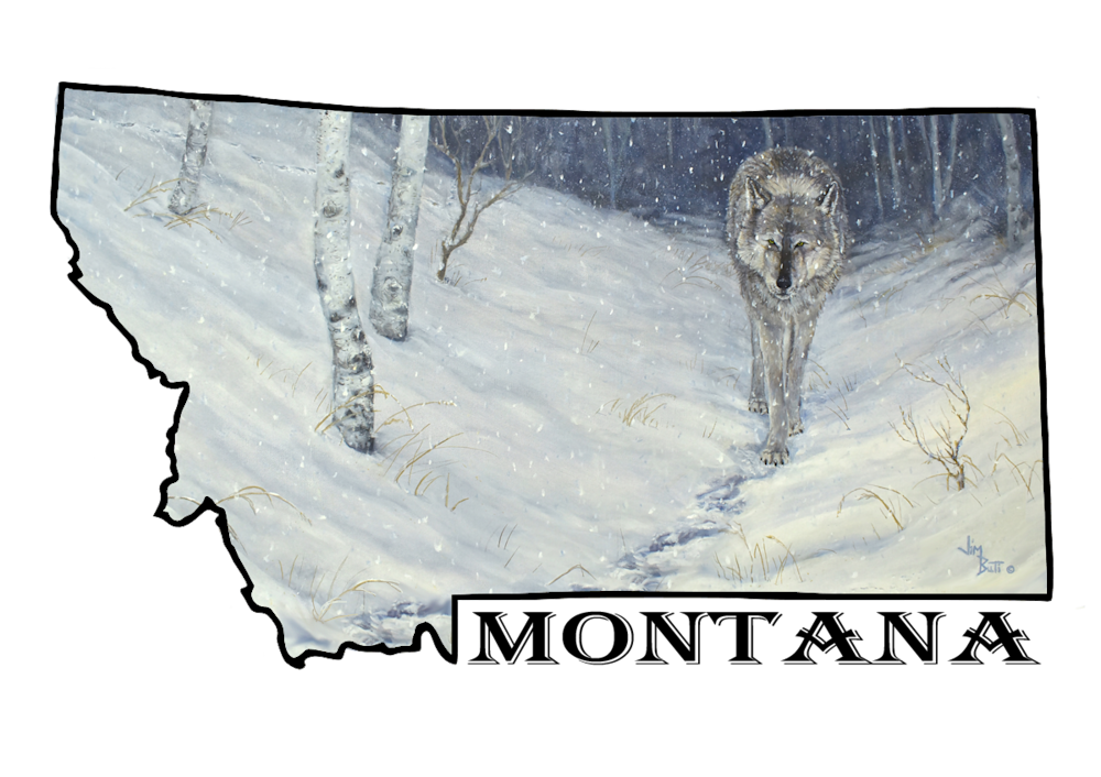Out of the Shadows- Montana