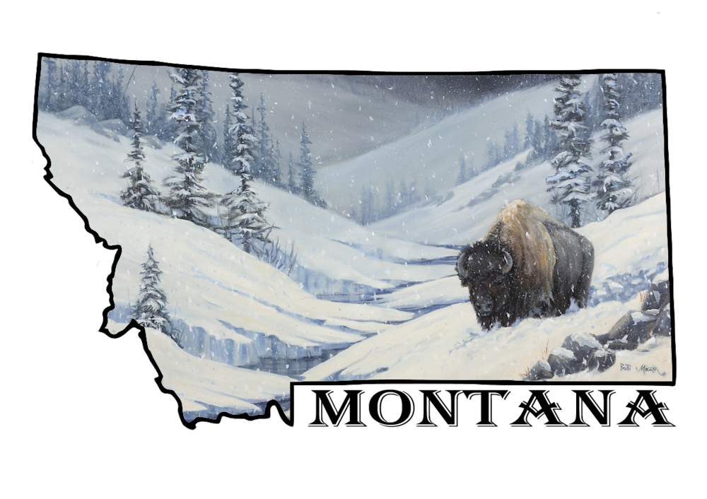 Silence in Solitude -Montana