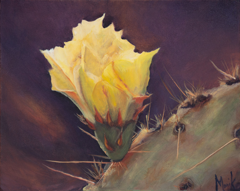 Cactus Flower B021474 Art | moniquekristofors