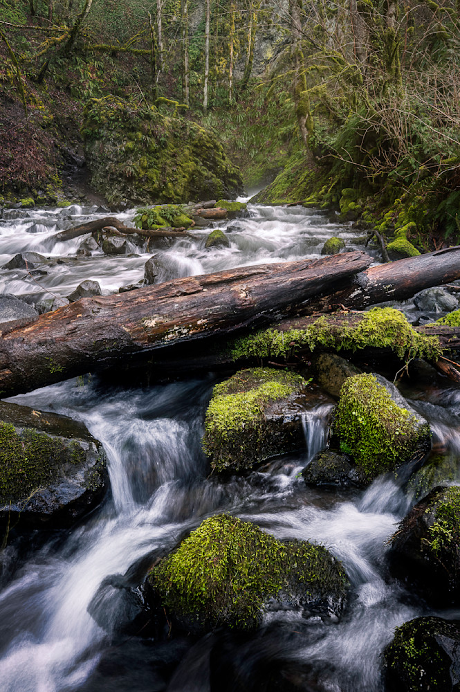 Path To The Falls Art | Chad Wanstreet Inc