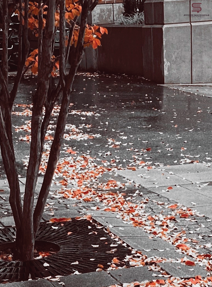 Falling In The City Art | Stone Michaels Books & Prints, LLC