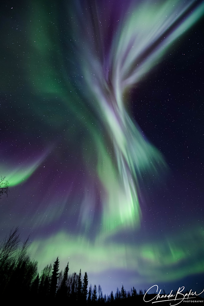 Aurora Dance Art | Chanda Baker Photography