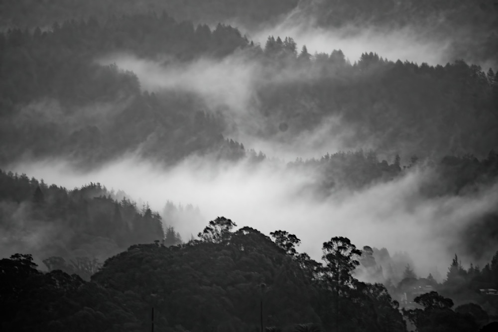 Santa Cruz Coastal California Foggy Rivers Photography Art | davehatton
