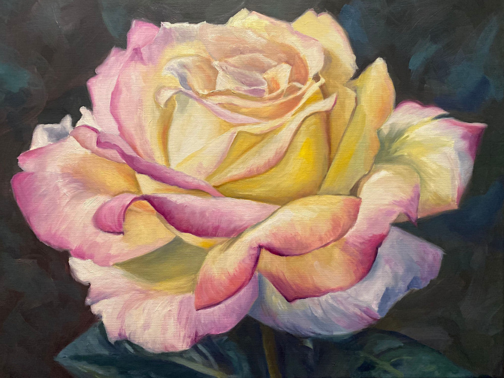 Yellow Peace Rose Art | Jennifer Zardavets Art