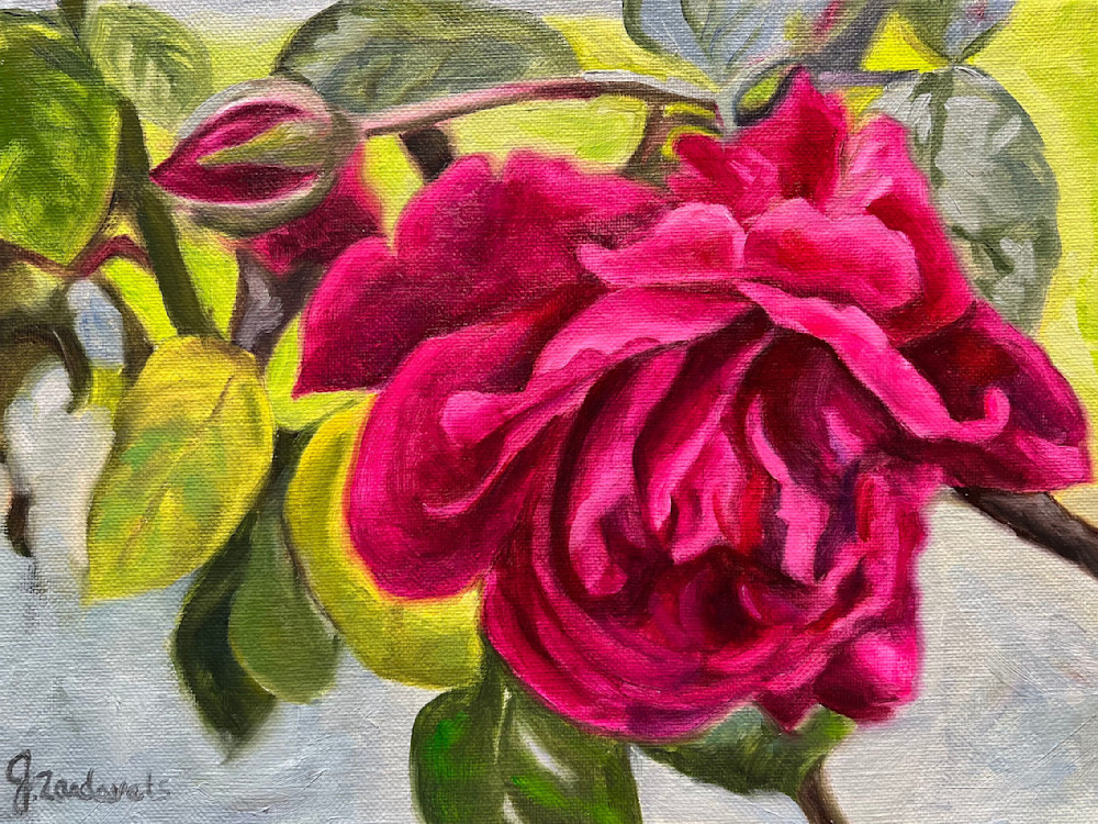 Chrissys Rose Art | Jennifer Zardavets Art