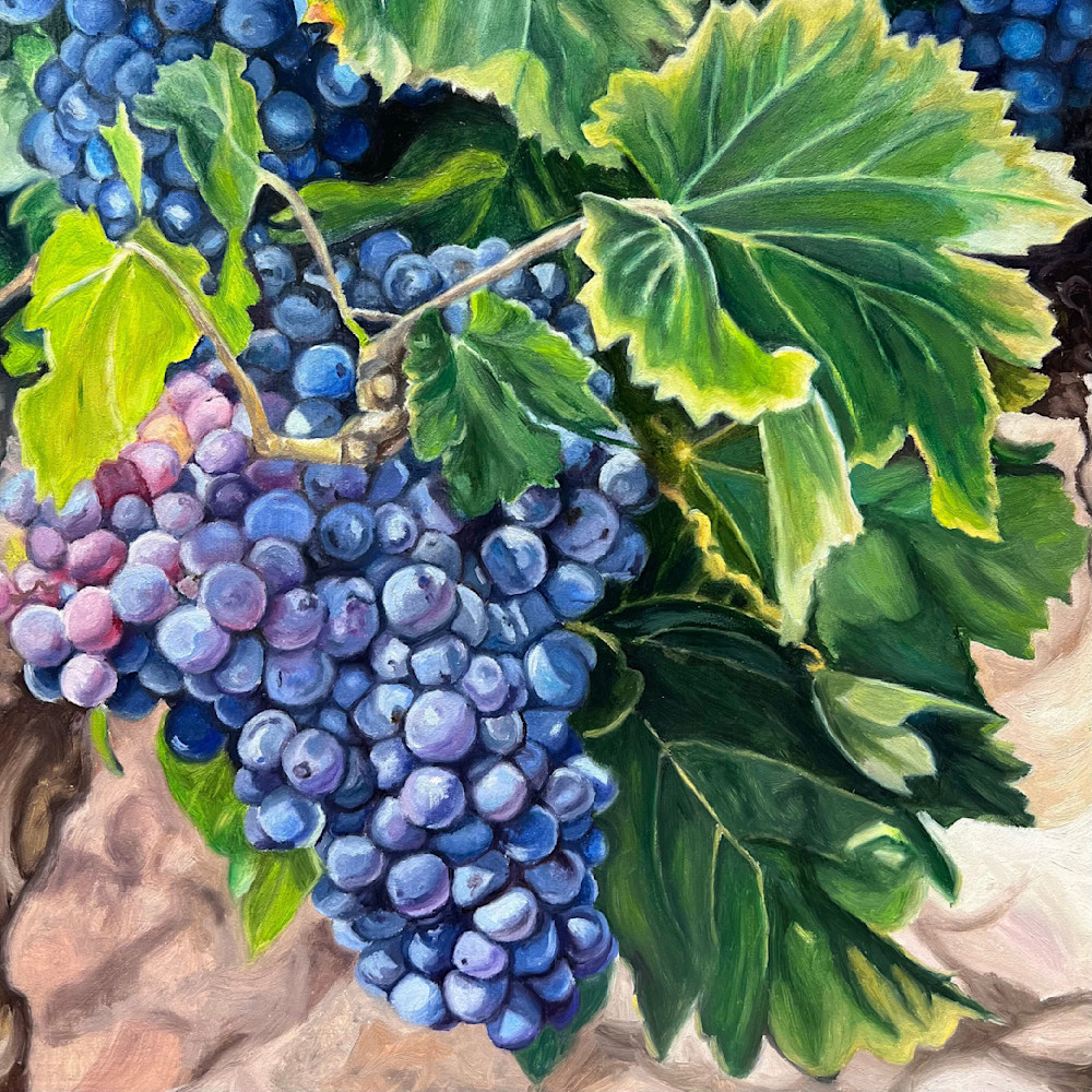 My Favorite Fruit Art | Jennifer Zardavets Art
