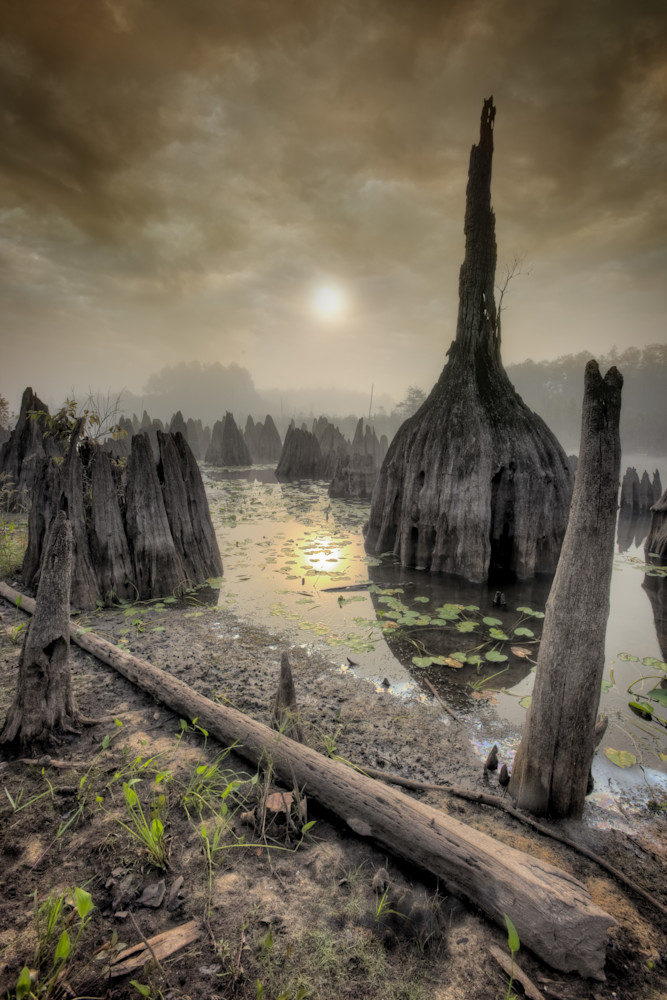 A Dead Lakes Dawn Photography Art | Gareth Rockliffe Landscape Photography