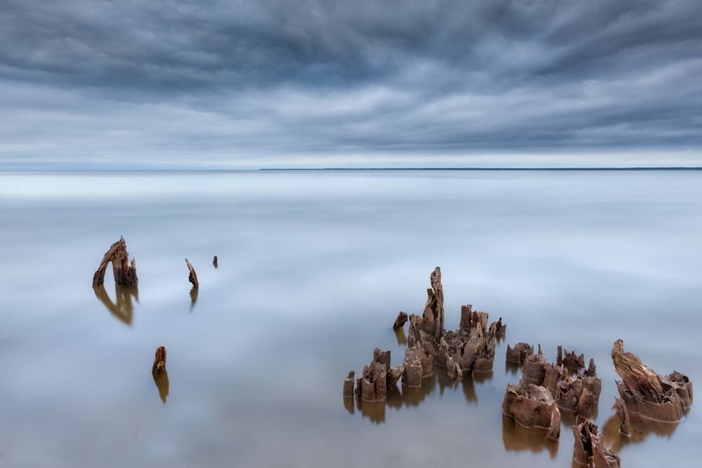 Rooted To The Bay Photography Art | Gareth Rockliffe Landscape Photography