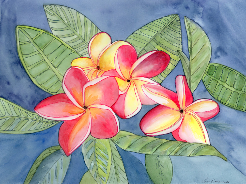 Pink and Yellow Plumeria
