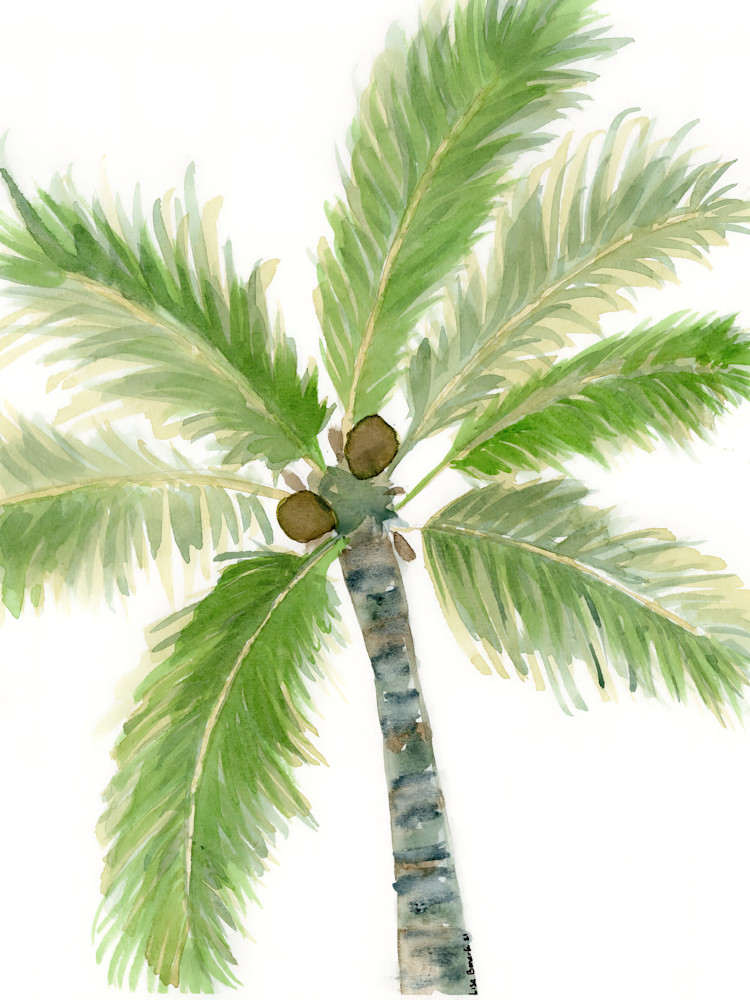 Sunlit Palm