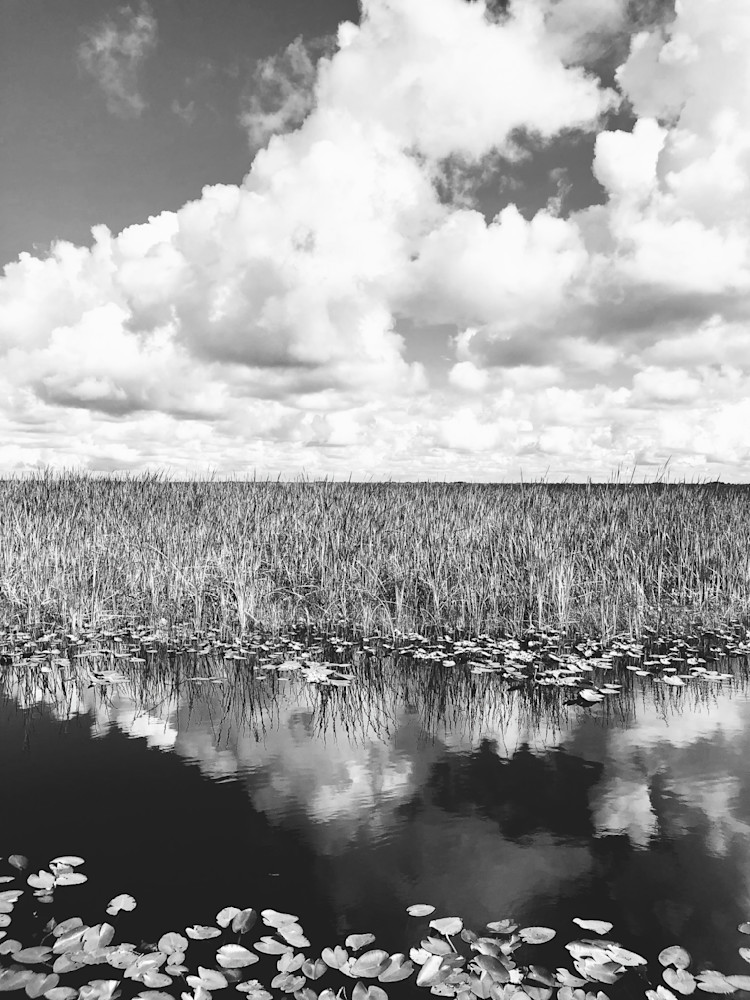 Sawgrass6a Photography Art | Marcel Photo Studio