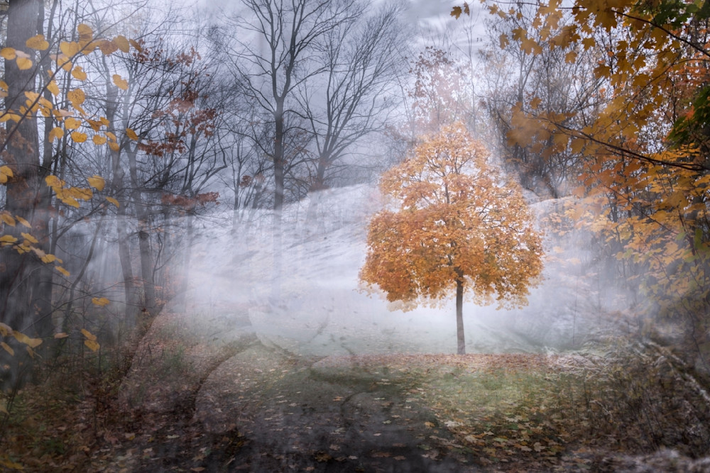 Memories Of Mists And Colours Photography Art | Elizabeth Stanton Photography