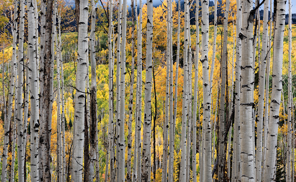 Layers Of Color Photography Art | Mountain West Photography
