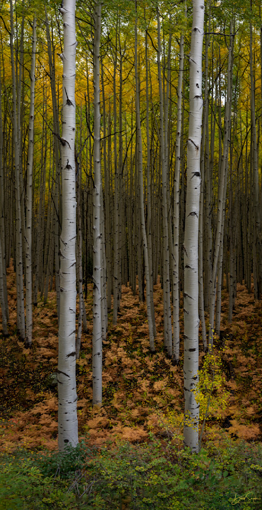 The Magic Of Fall 2 Photography Art | Mountain West Photography