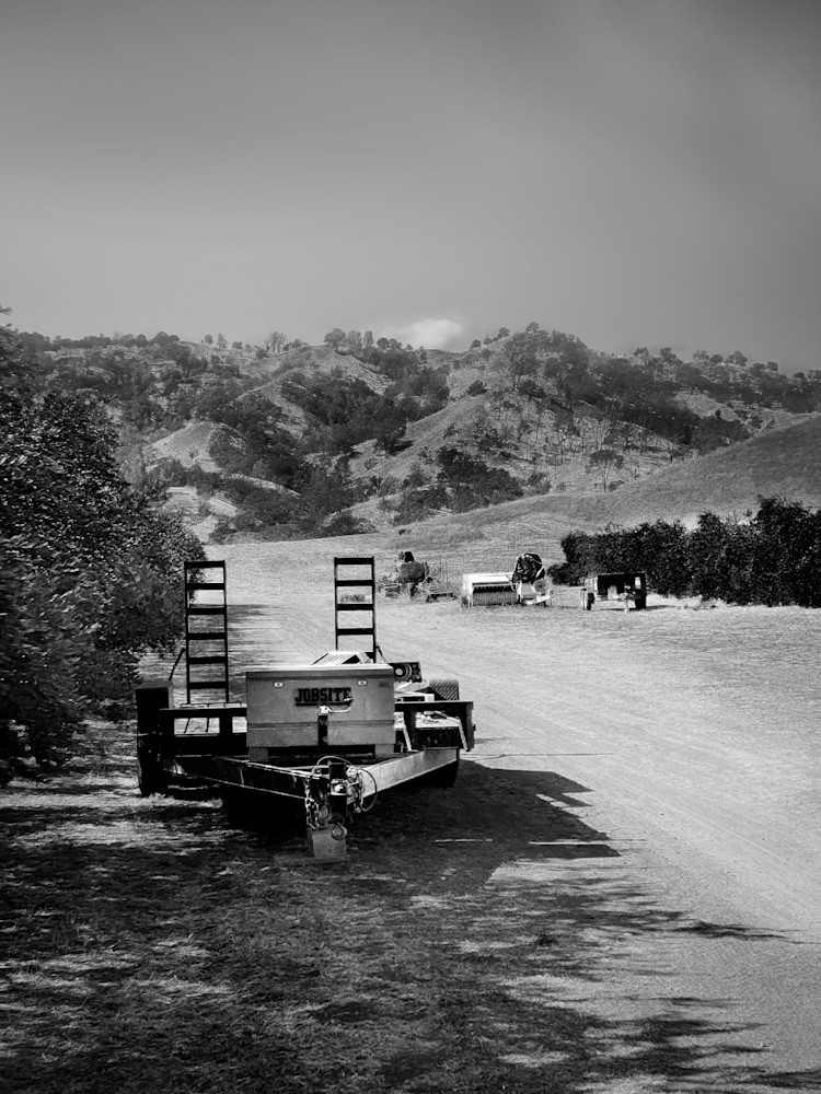 An empty trailer stands ready along a service path at Taber Ranch Vineyards.