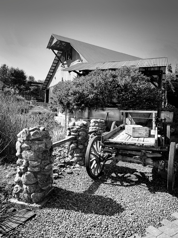 Visitors to the Taber Ranch Vineyards and Events Center will pass a vintage wagon on the way to the barn.