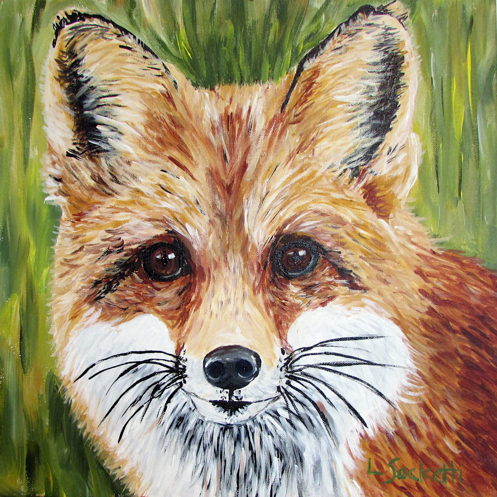 Portrait of a red fox prints and merchandise | Linda Sacketti