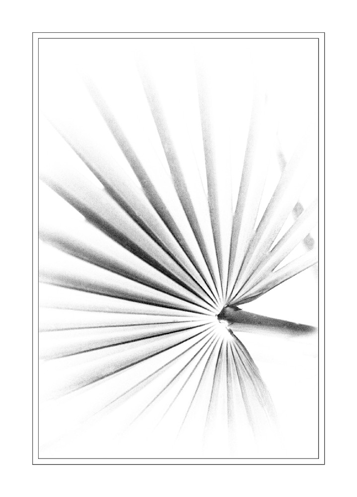 Radiant Fan Of Shadows Photography Art | Kevin Morris Photography USA