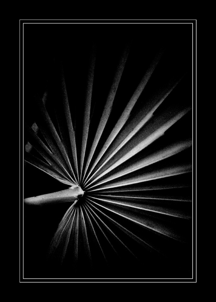 Radiant Shadows In Motion Photography Art | Kevin Morris Photography USA