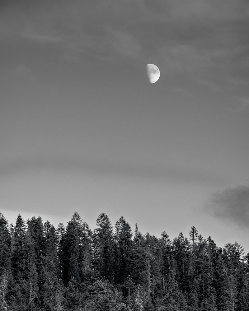 Moon Over the Forest, Skamania County, Washington, 2022