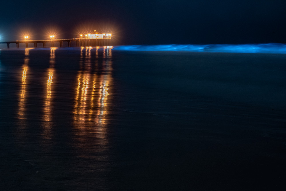 Bioluminescent Shores Photography Art | explorersphotography