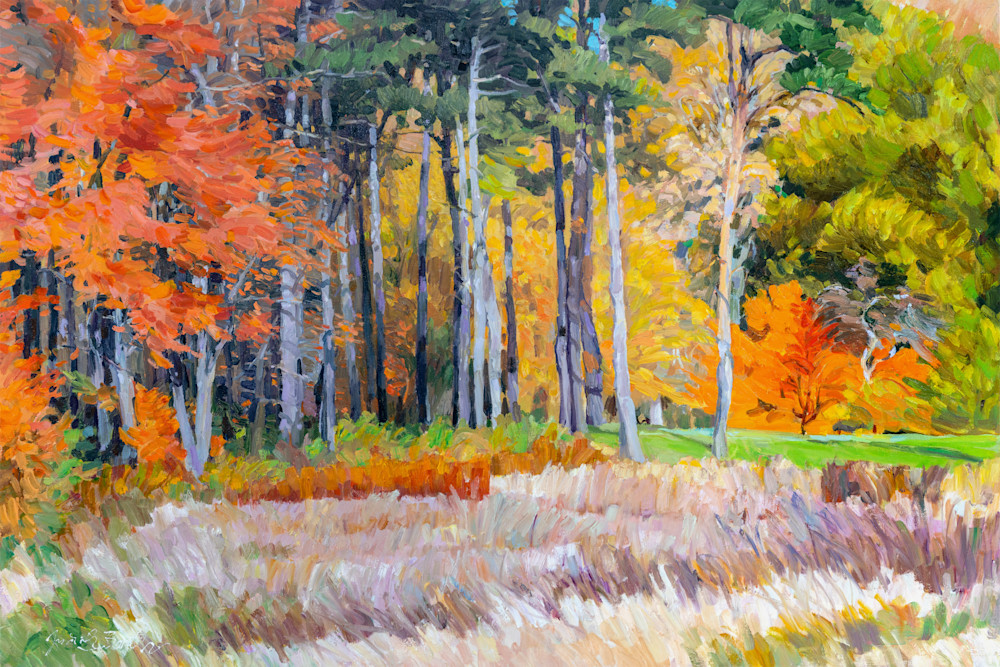 Fall In The Arboretum Art | Judith Barath Arts