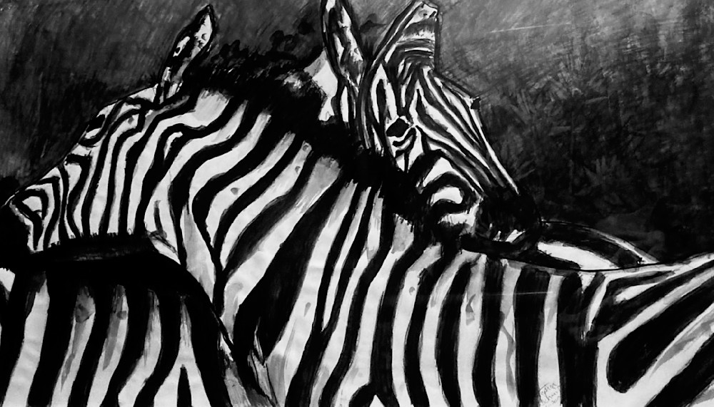 Zebra Love Art | Stephen Schmid Arts