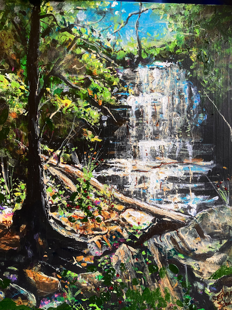 Nc Falls Art | Stephen Schmid Arts