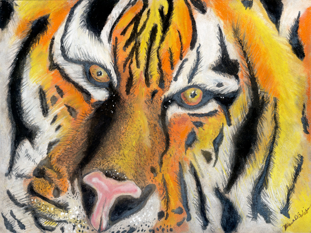 Eye Of The Tiger Art | Lahaina Arts Society