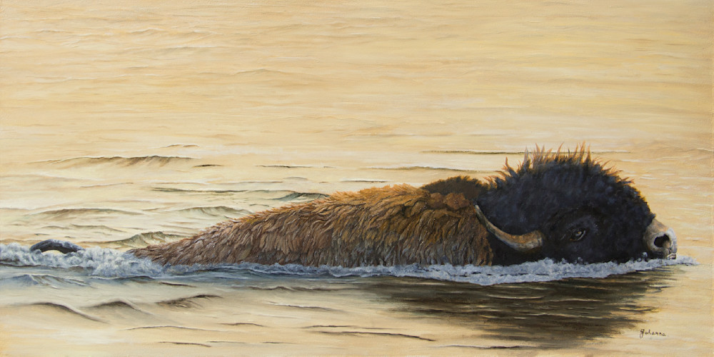 River Crossing   Buffalo Art | Johanna Lerwick Wildlife Artist