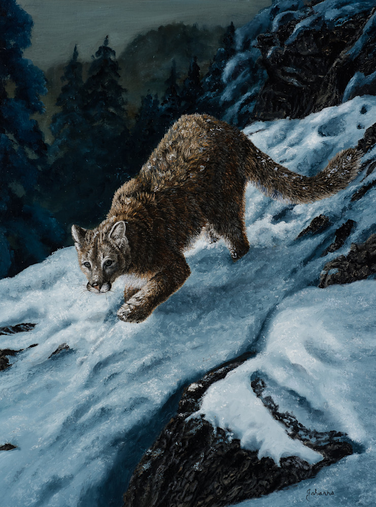 In The Night   Cougar Art | Johanna Lerwick Wildlife Artist